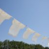 【簡単】お気に入りの服を長く着るために私が実践する洗濯方法をご紹介!
